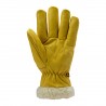 Lot de 6 paires de gants de protection anti froid  Coverguard Eurowinter Island